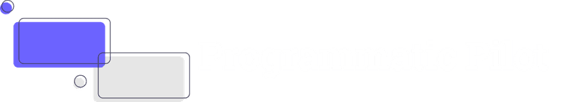 Programmatic Pilot Logo